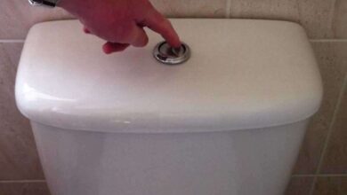 Why You Should Flush the Toilet When It's Been Standing Too Long