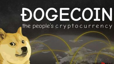 Dogecoin the cryptocurrency that emerged from nowhere