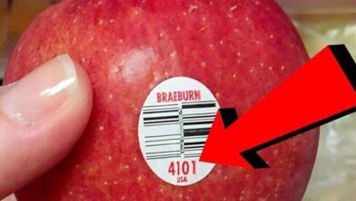 What do the fruit stickers mean: Genetically Modified, Organic, etc.